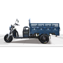 new design cargo electric tricycle